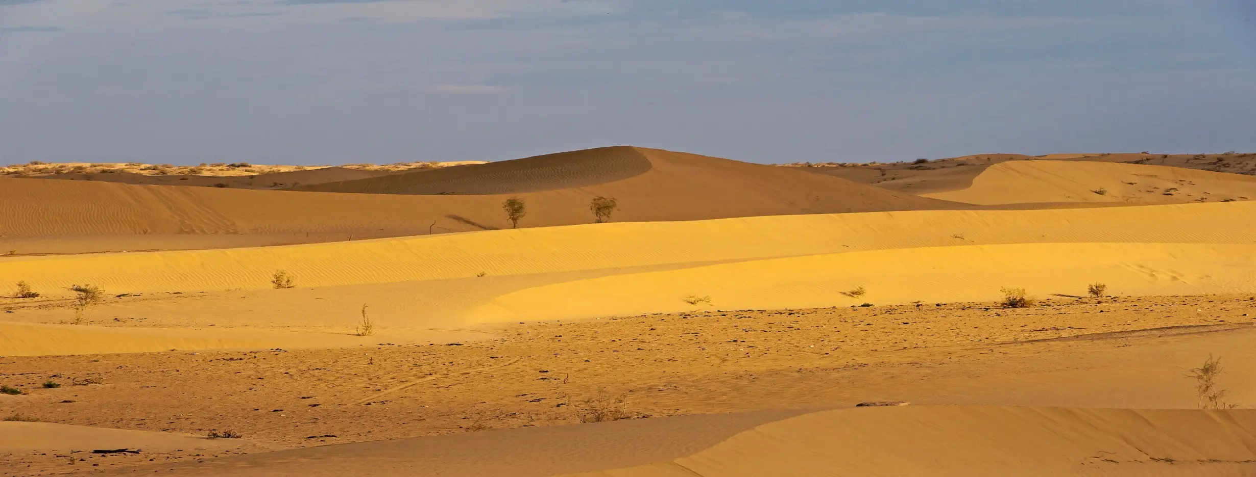 Image for Desert Camping